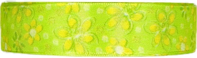 Stuha taftová SPRING MEADOW zelená 25mm x 20m A (8,-Kč/m)