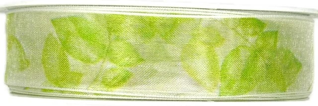 Stuha taftová DREAM GARDEN zelená transparentní A 25mm x 20m (7,-Kč/m) 