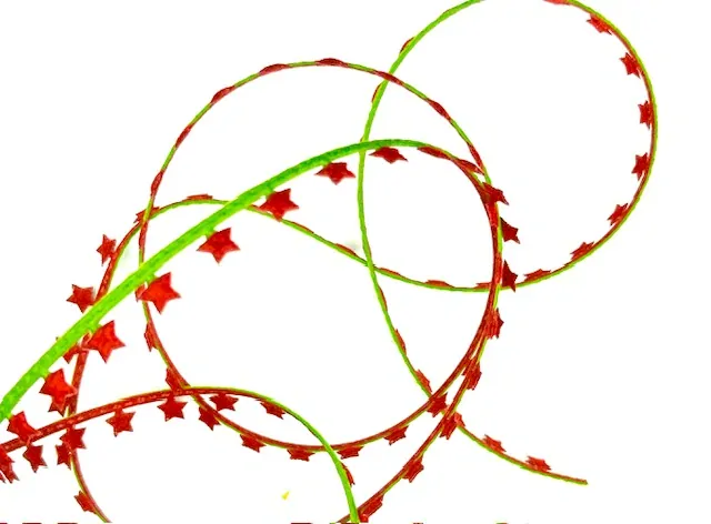 Vánoční stuha girlandová STARS RED 20mm x 5m