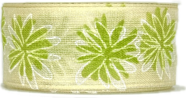 Stuha taftová DAISY BREEZE GREEN pastelově zelená 25mm x 2,5m (10,-Kč/m)