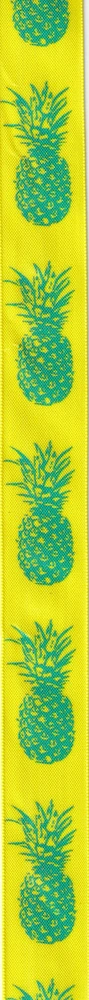 Stuha saténová žlutá PINEAPPLE POP Yellow 25mm x 2,5m (8,-Kč/m)