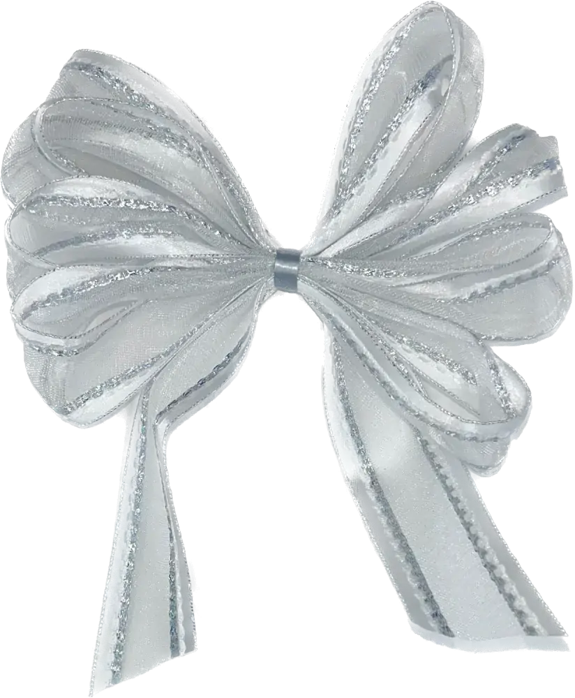 Sada 10x Vánoční stuha skládaná MONDAN SILVER GRACE 25mm x 2m (7,- Kč/m) (14,-Kč/ks)