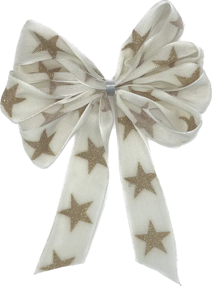 Sada 10x Vánoční stuha skládaná REINDEERGOLD STAR krémová 25mm x 2m (7,-Kč/m) (14,-Kč/ks)