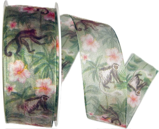 Stuha taftová MONKEY FOREST transparentní 40mm x 20m (8,-Kč/m)