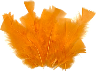 Dekorační peříčka ORANŽOVÁ 12ks bal
