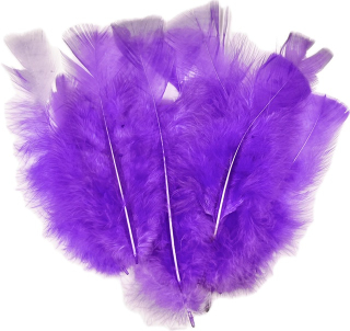 Dekorační peříčka LILA 12ks bal
