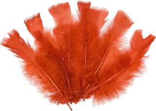 Dekorační peříčka ČERVENÁ 12ks bal