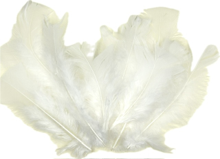 Dekorační peříčka BÍLÁ 12ks bal