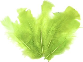 Dekorační peříčka ZELENÁ 12ks bal