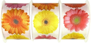 Set 3x Stuha taftová GERBERA YELLOW fotopotisk Gerbera 3x (40mm x 2m)  