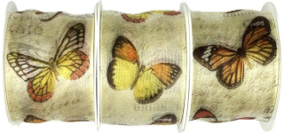 Set 3x Stuha taftová BUTTERFLY YELLOW žlutá 3x (40mm x 2m)