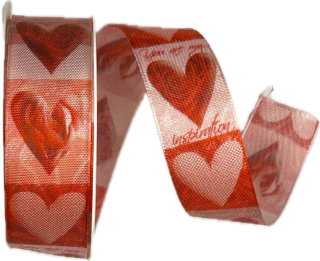 Stuha valentýnská YOU ARE MY INSPIRATION červená 25mm x 3m (9,-Kč/m)